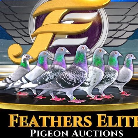 feathers elite youtube|feathers elite auctions.